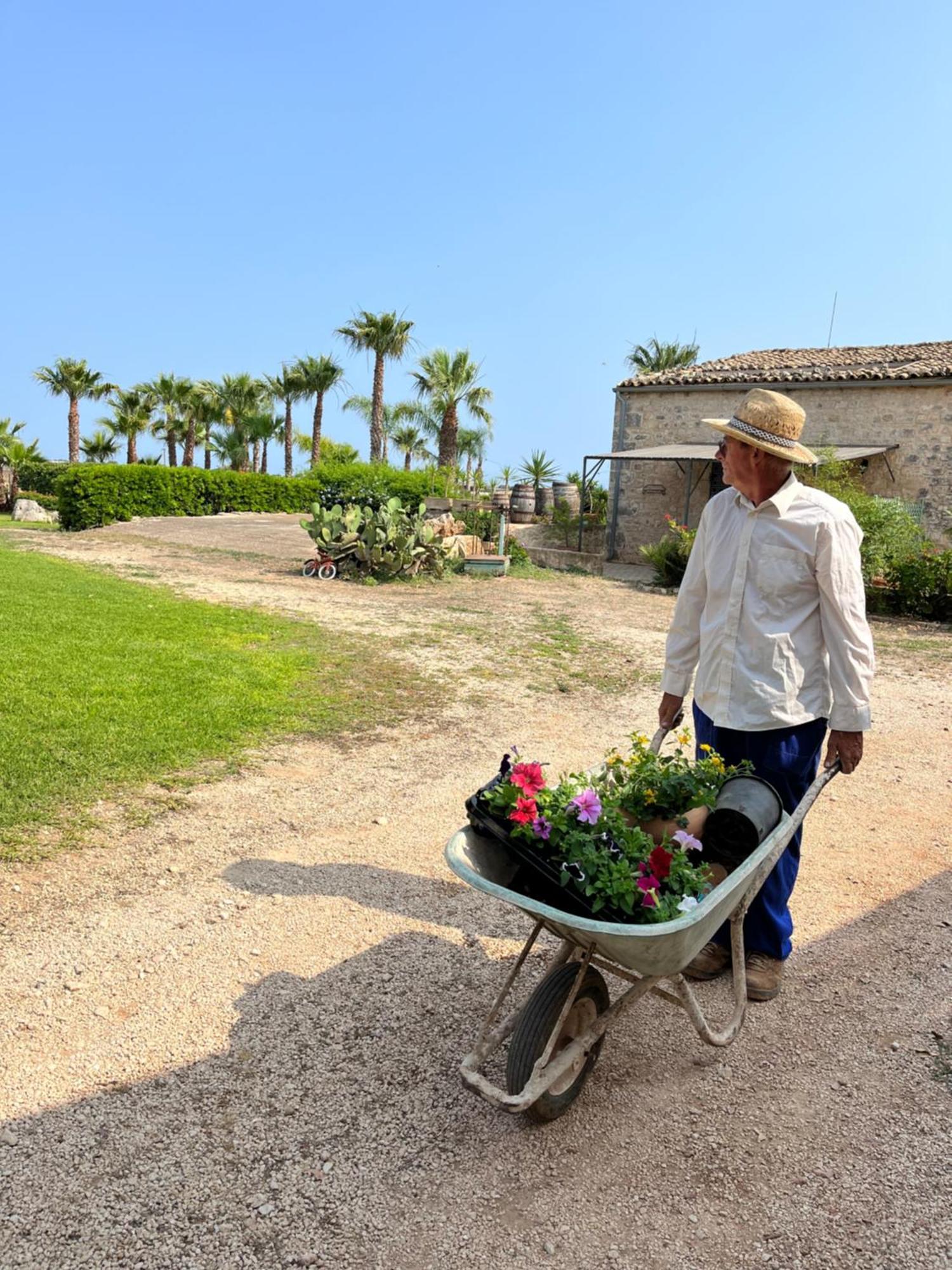 Masseria Boscorotondo 시클리 외부 사진