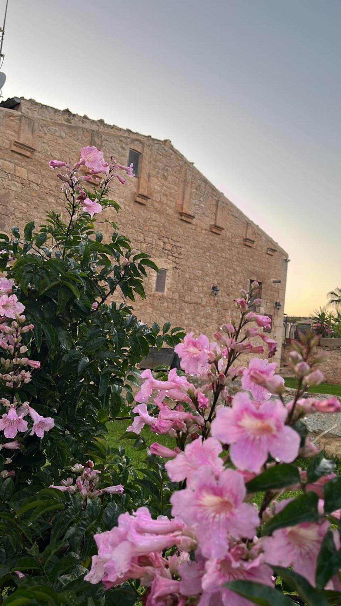 Masseria Boscorotondo 시클리 외부 사진